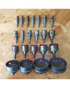 ดอกโฮลซอคาร์ไบด์ รวมทุกขนาด โต15-100mm.